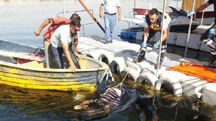 Birecikte köprüden atlayan engelli öldü