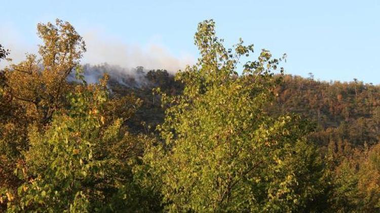 Zonguldakta ormanlık alanda örtü yangını