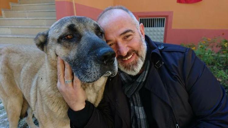 Trabzon’da boğuşan köpekler öldü, sahipleri davalık oldu