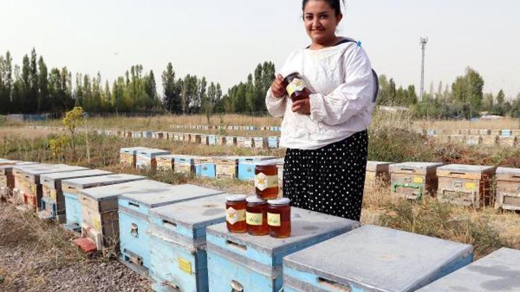 Vanlı kadın arıcılar bal hasadını yaptı