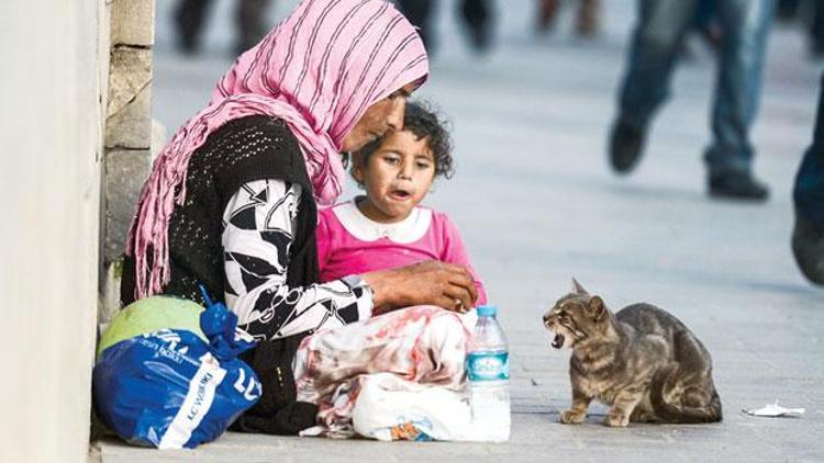 Onların savaşı başka