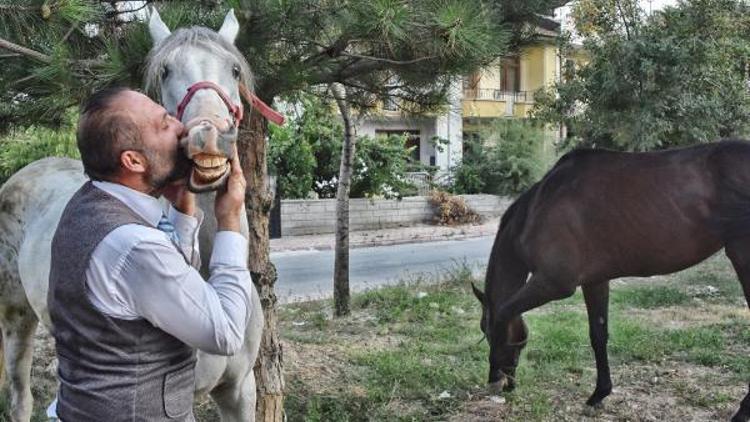 Kadın doğum doktoru, hayatını atlarına adadı