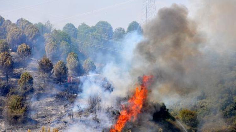 Antalyada 2 dönüm ağaçlık alan yandı