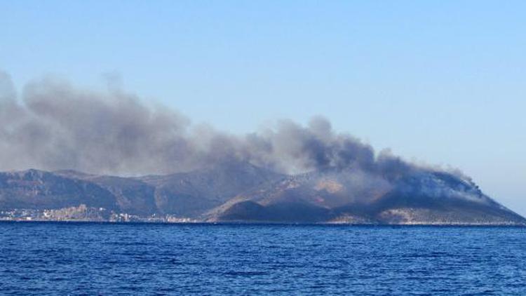 Meis Adasında yangın (2)