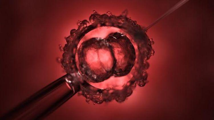 Bilim dünyasında bir ilk: İnsan embriyosunda kimyasal ameliyat