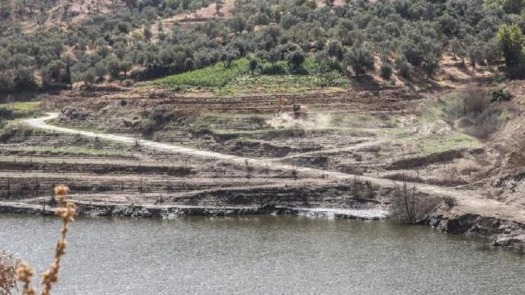 Tirede baraj ve gölet kenarları yemyeşil olacak