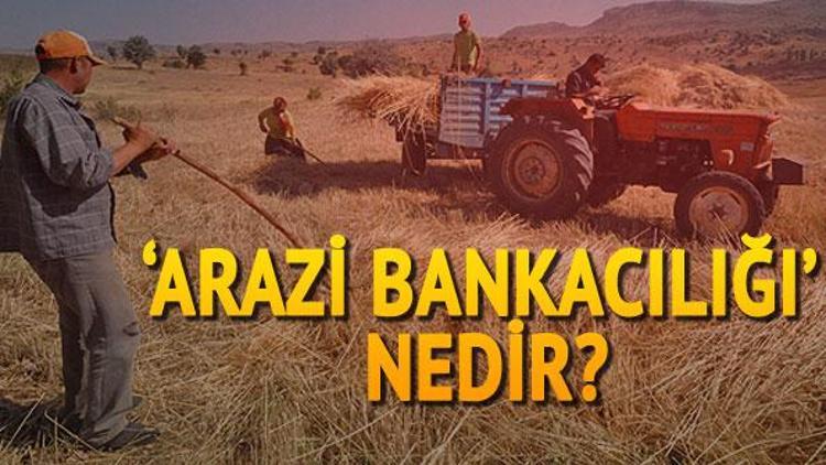 Arazi bankacılığı nedir