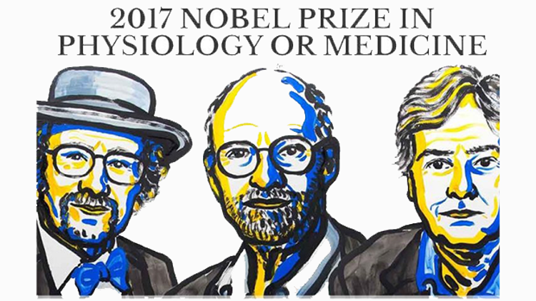 2017 Nobel Tıp Ödülü, biyolojik saat çalışmasına verildi