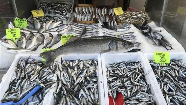 Karadenizli balıkçılar ilk ayda umduklarını bulamadı