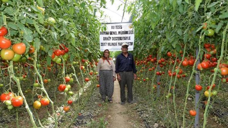 Orman köylüsüne 620 bin TL sera desteği