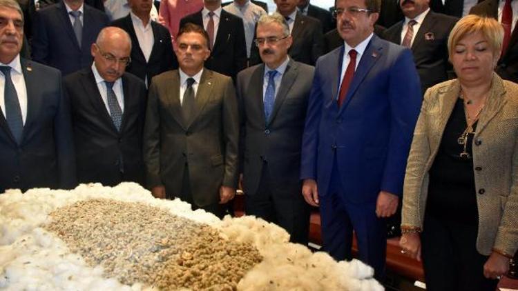 Ekonomi Bakanı Zeybekci, pamuğun ilk ürün törenine katıldı