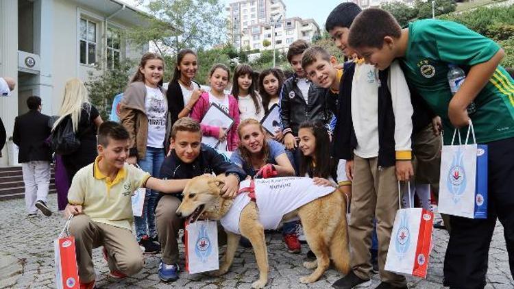 Artık sokak hayvanlarının da ambulansı var​