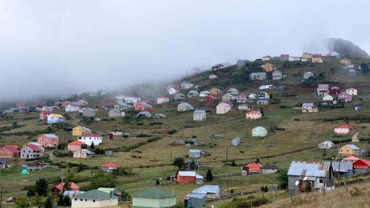 Doğu Karadeniz yaylalarında 4 bini aşkın kaçak yapı yıkılacak (2)