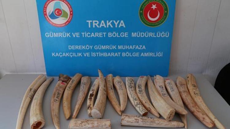 Dereköy Sınır Kapısında 18 fildişi ele geçti