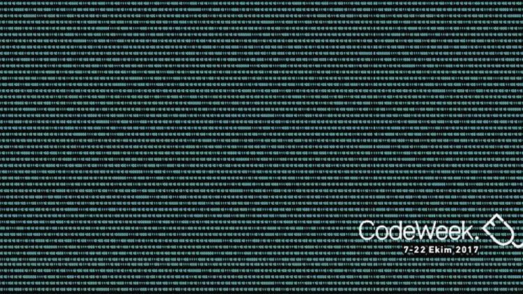 ‘Code Forest’ projesiyle Google desteği