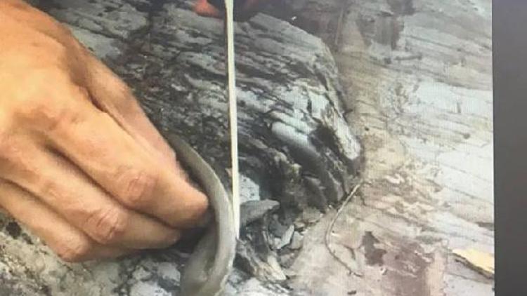 Kaçak avın fotoğrafını sosyal medyada paylaşınca ceza yedi