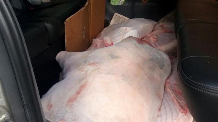 Durdurulan minibüste 420 kilo domuz eti ele geçirildi