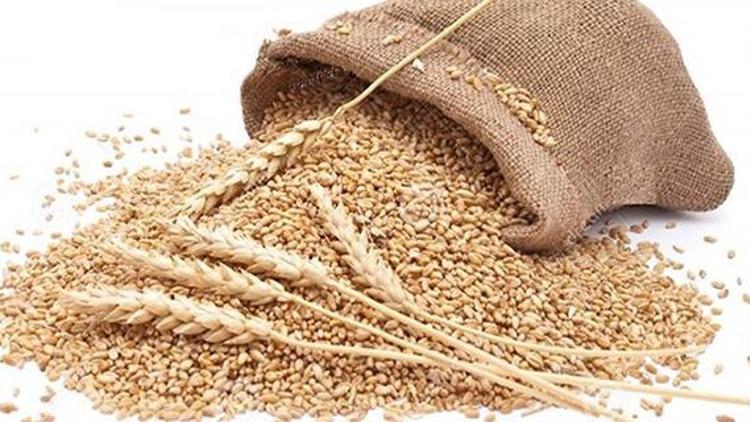 Adanada buğdayın kilosu 1,05 den satıldı