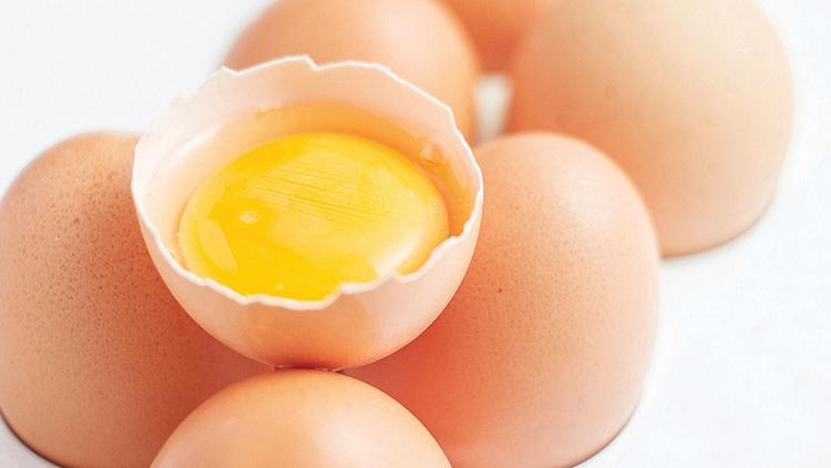 Japonlar tavuklara ucuz kanser ilacı yumurtlattı