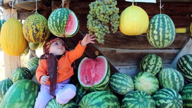 Meyveleri yazın dalından, kışın hevenkten yiyorlar