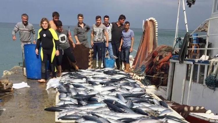 Erdekli balıkçılar tek seferde 500 torik yakaladı