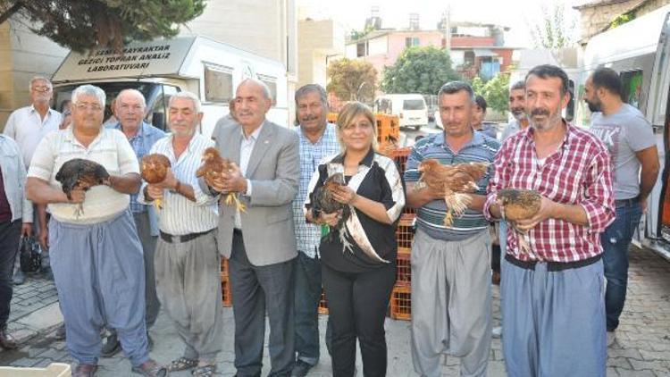 Ziraat Odası köylüye tavuk dağıttı