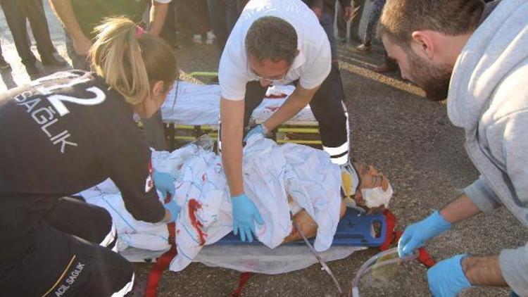 Ceviz ağacından düştü, ambulans helikopterle sevk edildi