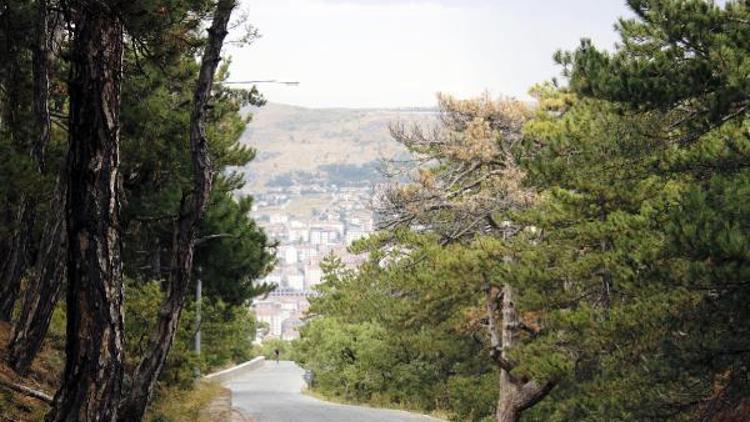 Yozgat Çamlık Milli Parkına gece araç giriş- çıkışı yasaklanacak