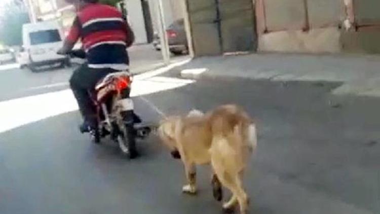 Motosikletine iple bağladığı köpeği koşturdu