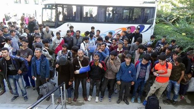 Erzincan’da Afgan uyruklu 127 sığınmacı yakalandı