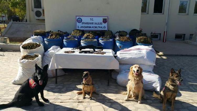 Diyarbakırın 4 ilçesinde narko-terör operasyonu