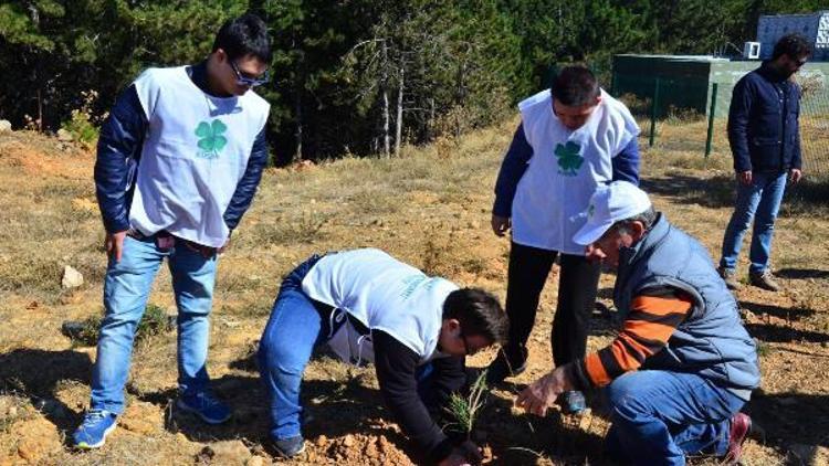 Down sendromlu gençler Spilde fidan dikti