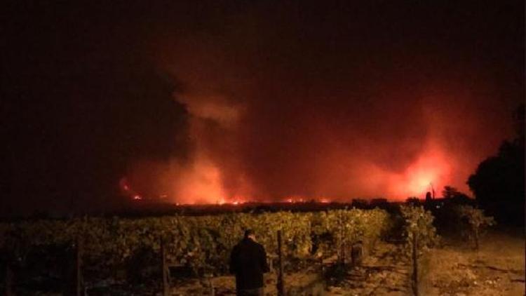 Kaliforniya yangınında ölü sayısı 40’a yükseldi, yüzlerce insan kayıp
