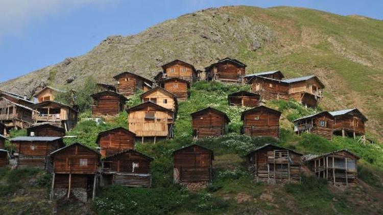 Doğu Karadeniz’in en sıra dışı yaylası