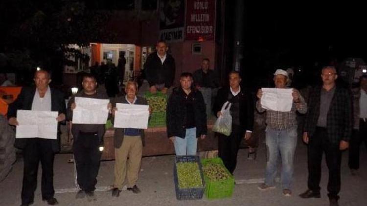 3 ton zeytini protesto için bedava dağıttılar