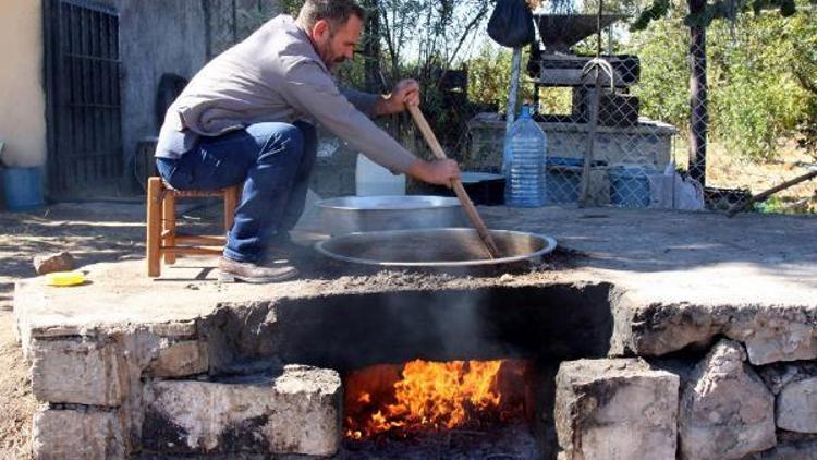 Ergani’de bağ bozumu