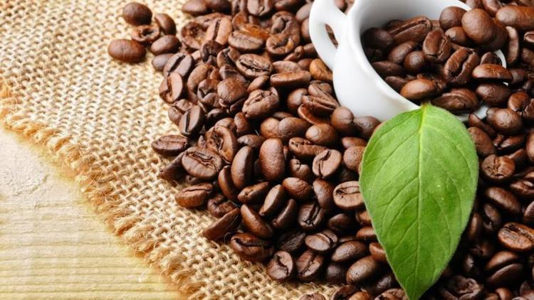 Günde üç-dört fincan kahve erken ölüm riskini azaltıyor