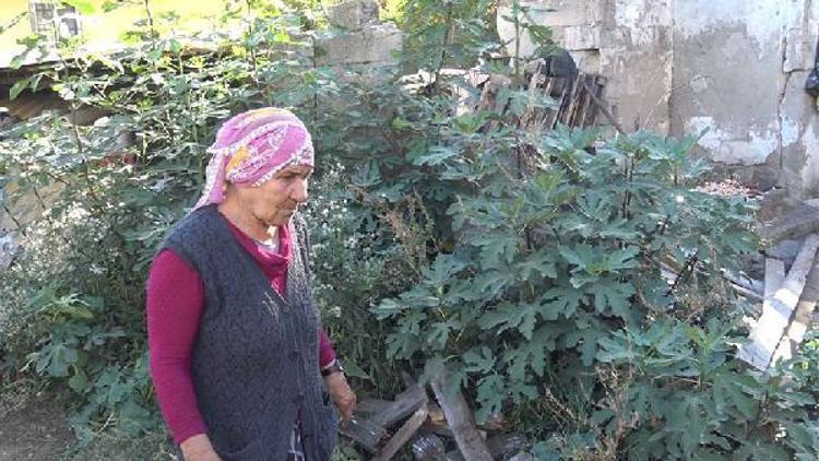 Yanan barakasının yerine yenisini yapmaya çalışıyor