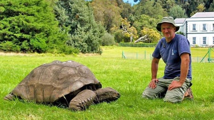 Dünyanın en yaşlı kaplumbağası eşcinsel çıktı
