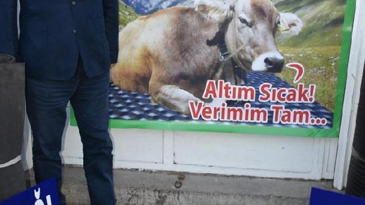 Hayvanlar için elektrikli yatak üretti