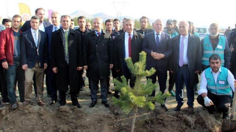 Cezalarını fidan dikerek ödüyorlar