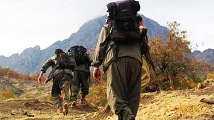 Şemdinli’de 5 PKK’lı terörist etkisiz hale getirildi