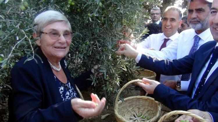 Prof.Dr. Canan Karatay: Zeytin ve zeytinyağı tüketen hastalanmaz