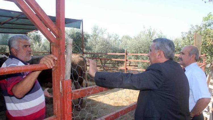 Osmaniyede 182 Genç Çiftçi Hibe Desteği