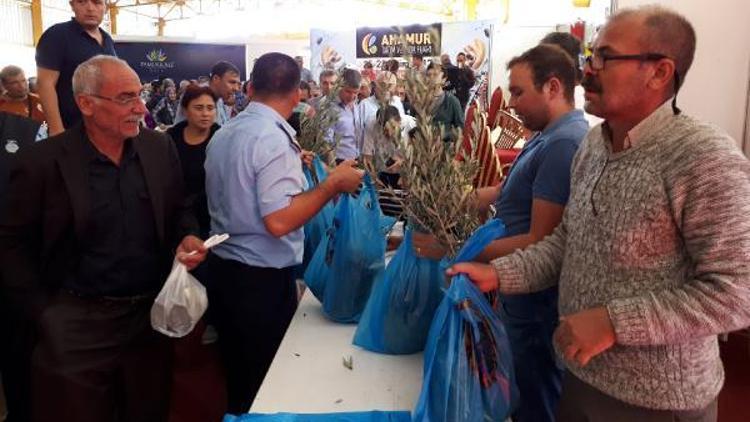 Fuarda zeytin fidesi dağıtımına yoğun ilgi