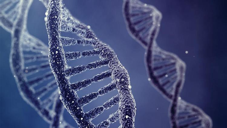 DNAdaki genomlarda değişiklik yapmayı kolaylaştıran enzim keşfedildi