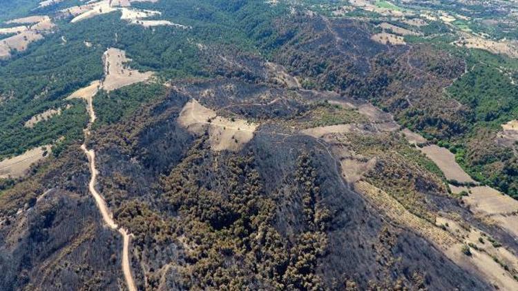 Çanakkalede yanan ormanlık alanlar drone ile görüntülendi