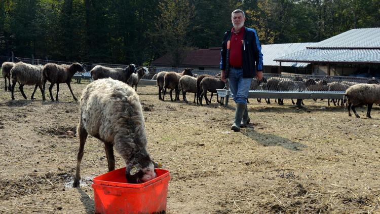 Hobi olarak başladı şimdi Türkiyenin dört bir yanına satıyor