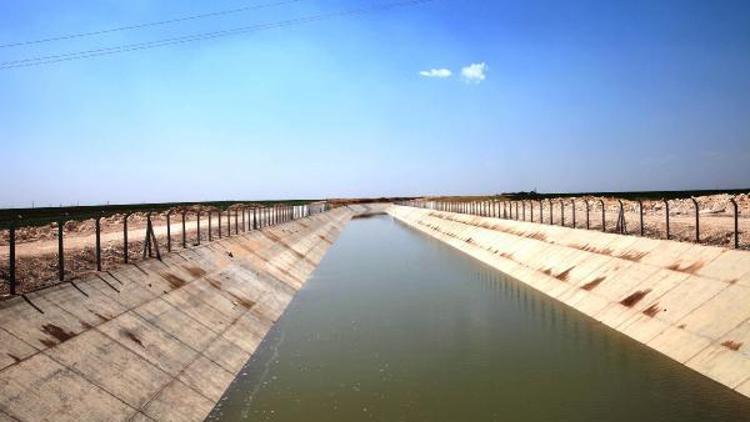 Mardinde 221 kilometrelik Bereket kanalına deneme suyu bırakıldı