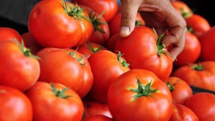 Rusya hükümeti domates kararnamesini imzaladı